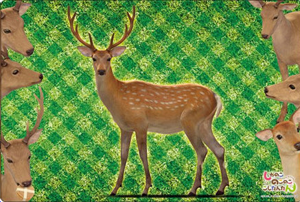 Bushiroad Rubber Mat Collection V2 Vol. 1420-1421 "My Deer Friend Nokotan"